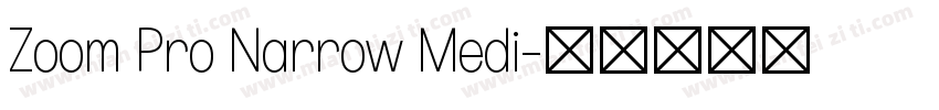 Zoom Pro Narrow Medi字体转换